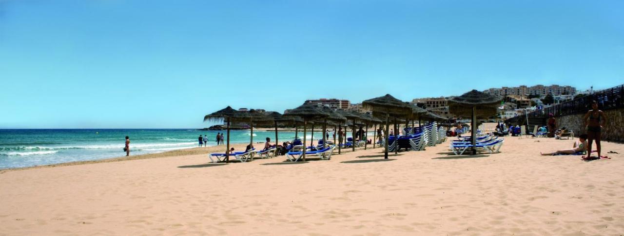 Homely Apartments Playa De Los Locos 또레비에하 외부 사진